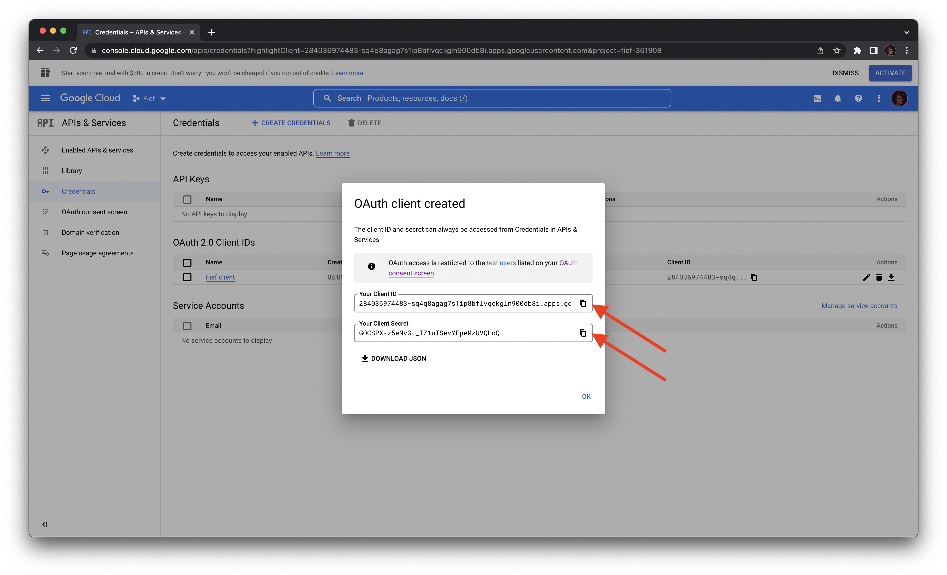Google OAuth2 client configuration