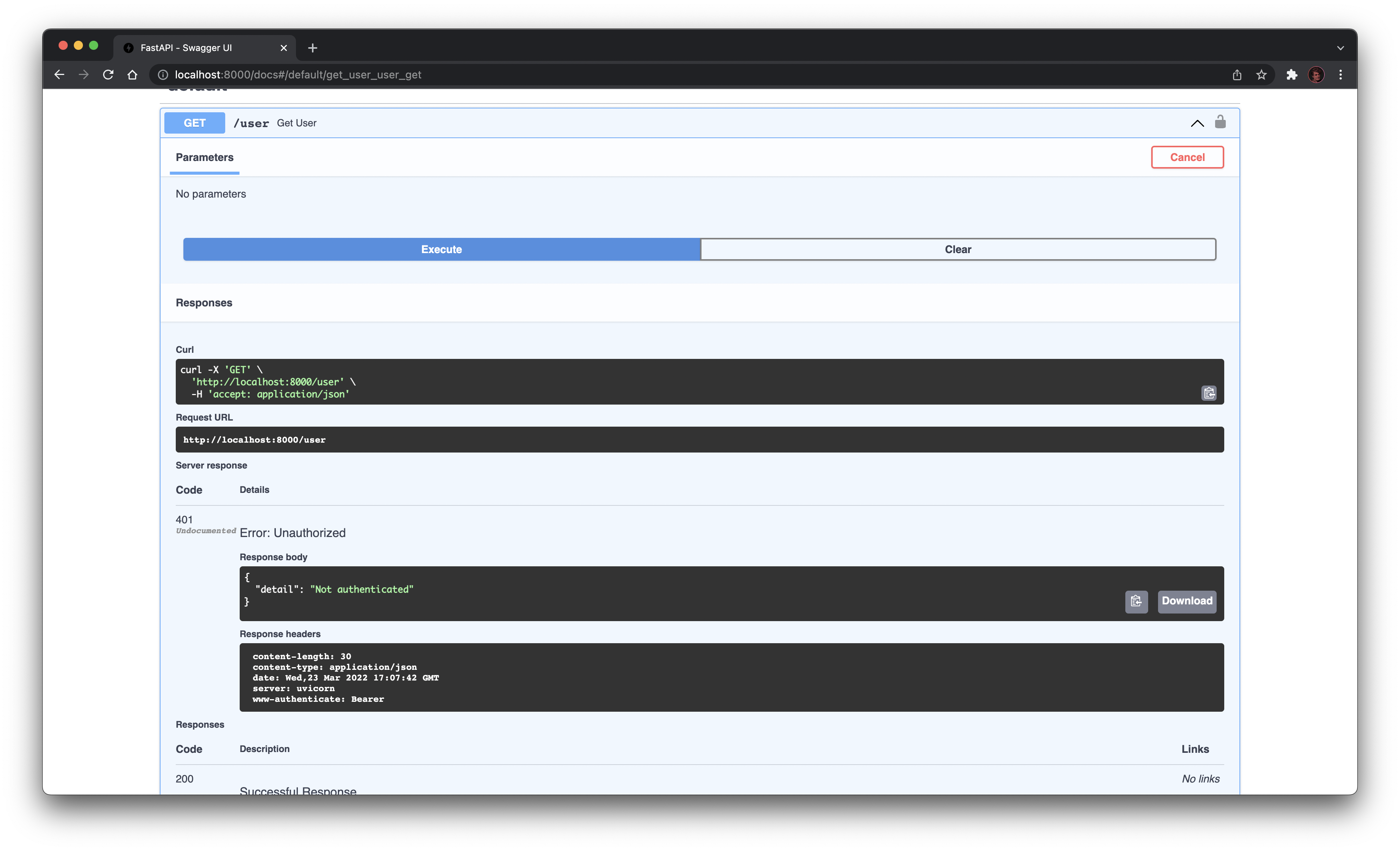 Unauthenticated request from the interactive documentation